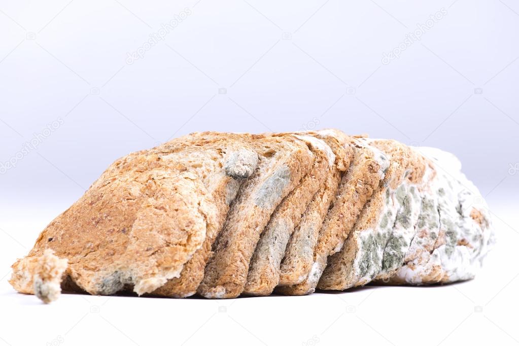 Mouldy bread