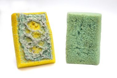 Temizlik için kullanılan süngerler