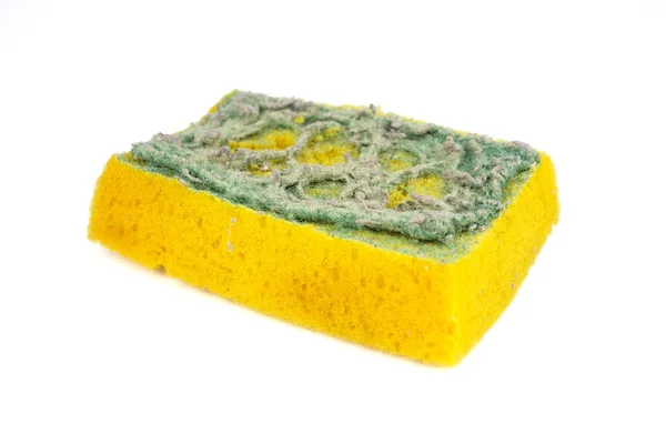 stock image Used sponge for cleaning