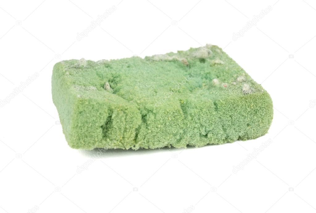 Used sponge for cleaning
