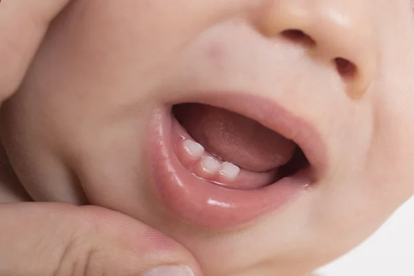 Dentes de leite de bebê — Fotografia de Stock