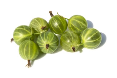 Beyaz bir arka planda bazı bektaşi