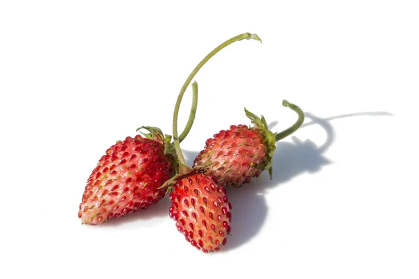 gölgeler ile beyaz zemin üzerine çilek