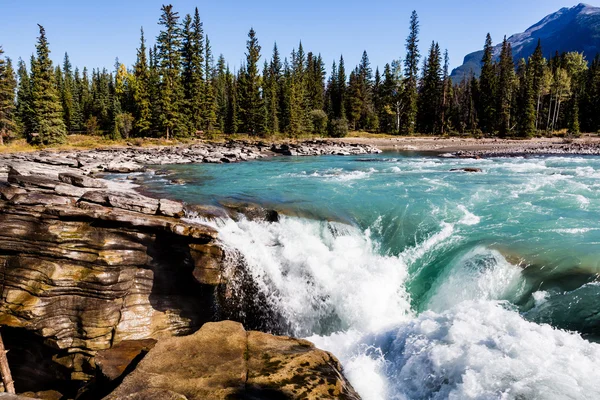 Athabasca Falls, Icefield Parkway, Parque Nacional Jasper — Foto de Stock