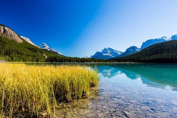 Озеро Санвапта, Национальный парк Джаспер в Альберте, Канада — стоковое фото