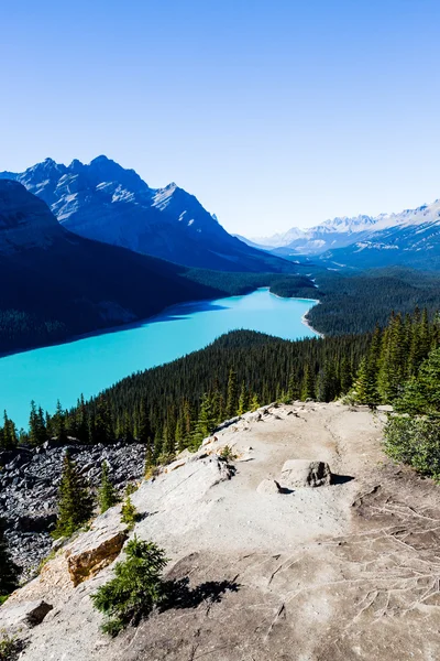 Lago Peyto, Parque Nacional Banff, Montañas Rocosas, Alberta, Canad — Foto de Stock