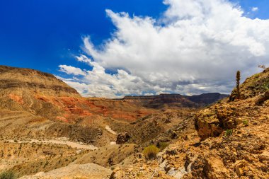 Yol 1005, Littlefield, Az 86432, ABD