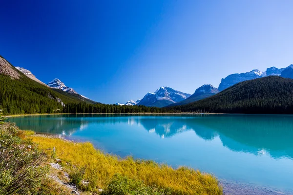 Sunwapta jezero, národní Park Jasper v Albertě, Kanada — Stock fotografie