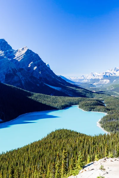 Peyto Lake, Banff National Park, klippiga bergen, Alberta, Canad — Stockfoto