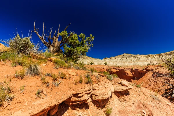 Kodachrome Basin State Park, Angels Palace Trail, Utah, VSA. — Stockfoto