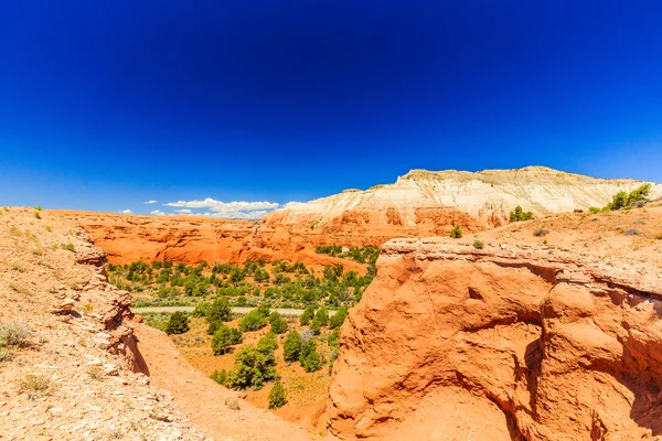 Kodachrome Basin State Park, Angels Palace Trail, Utah, USA. - Stock-foto