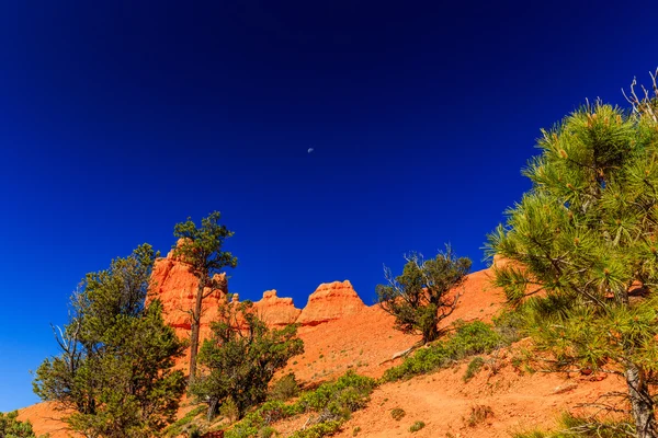 Hoodoo w Red Canyon w Utah, Stany Zjednoczone Ameryki. — Zdjęcie stockowe