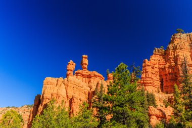 Hoodoos Red Canyon Utah, ABD içinde.