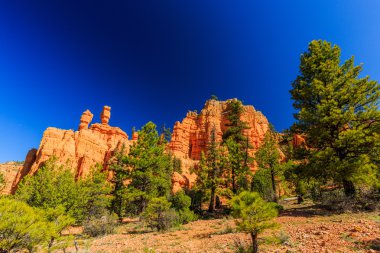 Hoodoos Red Canyon Utah, ABD içinde.