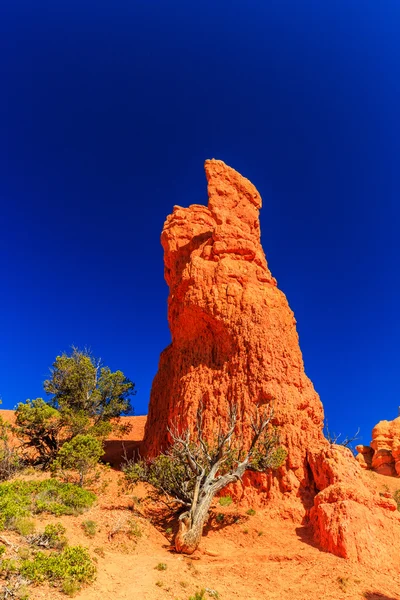 Hoodoo w Red Canyon w Utah, Stany Zjednoczone Ameryki. — Zdjęcie stockowe