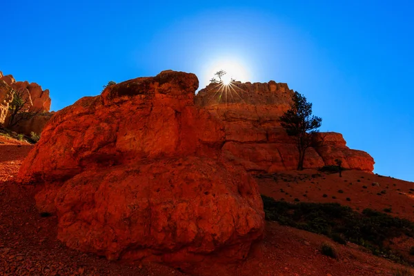 Hoodoos v Red Canyon v Utahu, Usa. — Stock fotografie