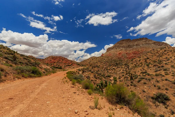 Road 1005, Littlefield, AZ 86432, Estados Unidos — Foto de Stock