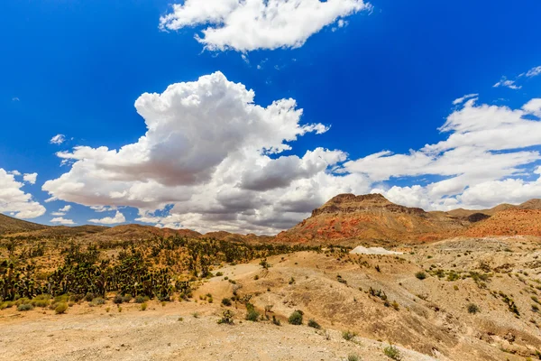 Road 1005, Littlefield, AZ 86432, USA — Stock Photo, Image