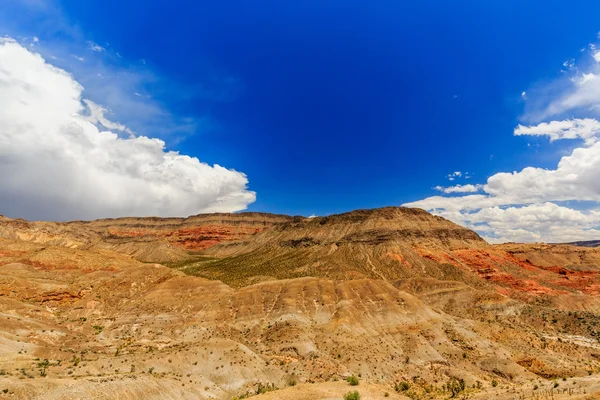 Road 1005, Littlefield, AZ 86432, USA — Stock Photo, Image