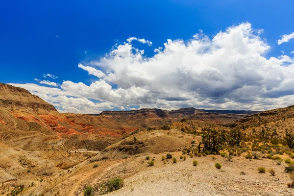 Road 1005, Littlefield, Az 86432, Verenigde Staten — Stockfoto