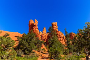 Hoodoos Red Canyon Utah, ABD içinde.