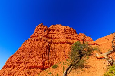 Hoodoos Red Canyon Utah, ABD içinde.