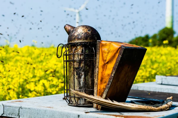 Imkers roker op een bijenkorf op verkrachting veld — Stockfoto