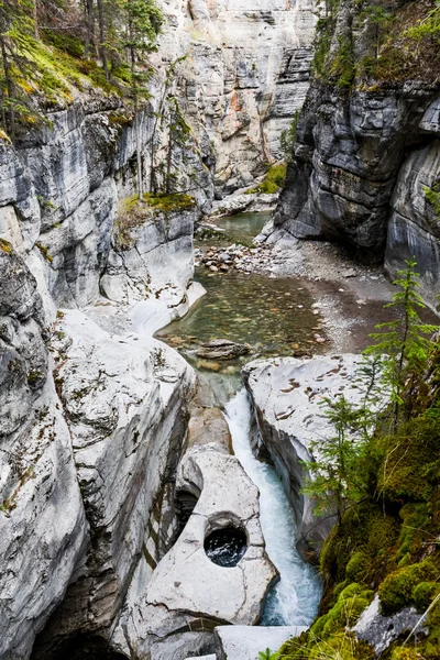 Maligne Canyon, Jasper National Park, Альберта, Канада — стоковое фото