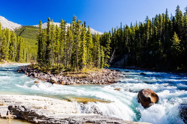 Sunwapta Falls, Parque Nacional Jasper en Alberta, Canadá —  Fotos de Stock
