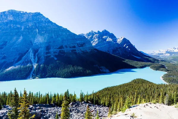 Lago Peyto, Parque Nacional Banff, Montañas Rocosas, Alberta, Canad —  Fotos de Stock