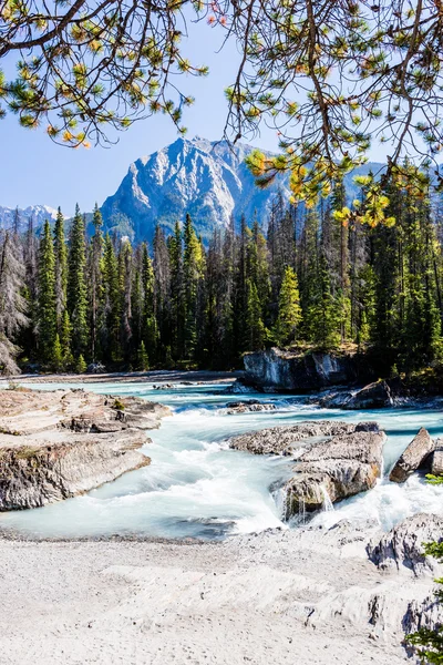 Ponte Natural, Parque Nacional Yoho, Alberta, Canadá — Fotografia de Stock