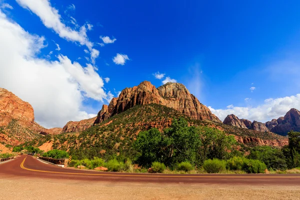 Scenic Zion Road. Parque Nacional Zion Interior Road. Utah, Estados Unidos . — Foto de Stock