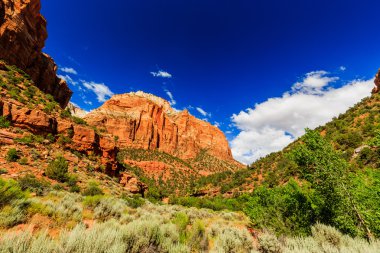 Utah, ABD 'deki Zion Ulusal Parkı.