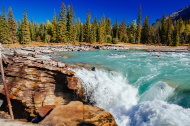 Athabasca Falls, Icefield Parkway, Jasper National Park, Amerika Birleşik Devletleri