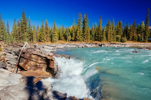 Athabasca Falls, Icefield Parkway, Jasper National Park, Canadá — Foto de Stock
