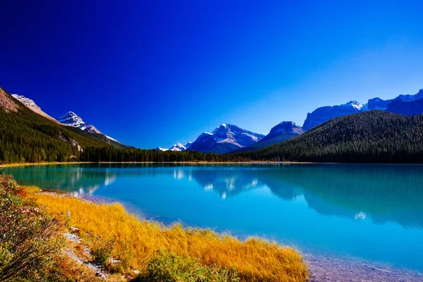 Sunwapta tó, Jasper Nemzeti Park a kanadai Alberta — Stock Fotó