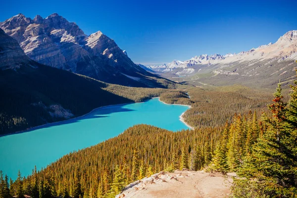 Peyto Lake, Banff National Park, góry skaliste, Alberta, Canad — Zdjęcie stockowe