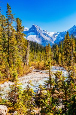 Takakkaw Şelaleleri, Yoho Ulusal Parkı, Alberta, Kanada