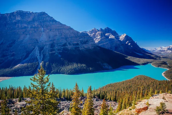 Peyto Lake, Banff nemzeti parkban, Sziklás-hegység, Alberta, Canad — Stock Fotó