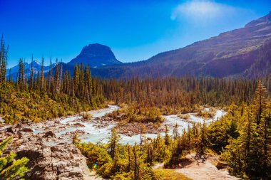 Takakkaw Şelaleleri, Yoho Ulusal Parkı, Alberta, Kanada