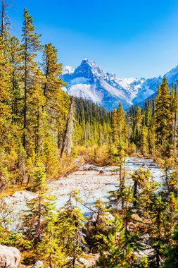 Takakkaw Şelaleleri, Yoho Ulusal Parkı, Alberta, Kanada