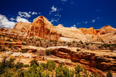 Hickman köprü iz, sermaye resif Milli Parkı, Utah, Amerika