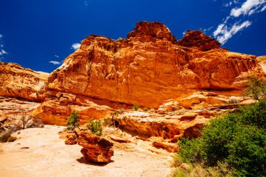 Hickman köprü iz, sermaye resif Milli Parkı, Utah, Amerika