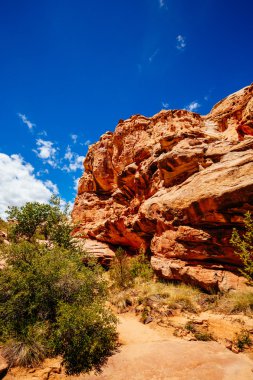 Hickman köprü iz, sermaye resif Milli Parkı, Utah, Amerika