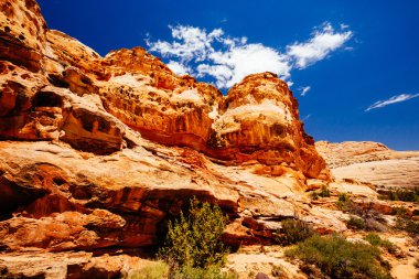 Hickman köprü iz, sermaye resif Milli Parkı, Utah, Amerika