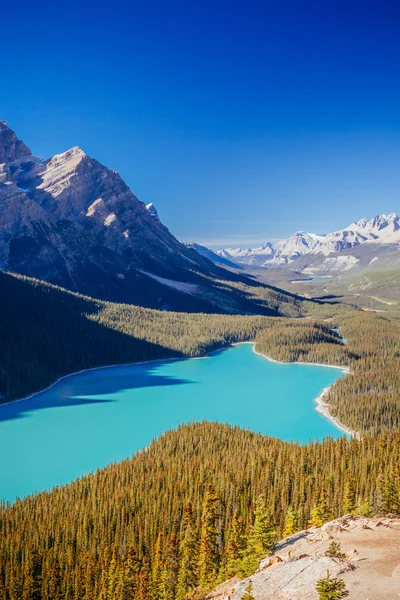 Lago Peyto, Parque Nacional Banff, Montañas Rocosas, Alberta, Canad — Foto de Stock