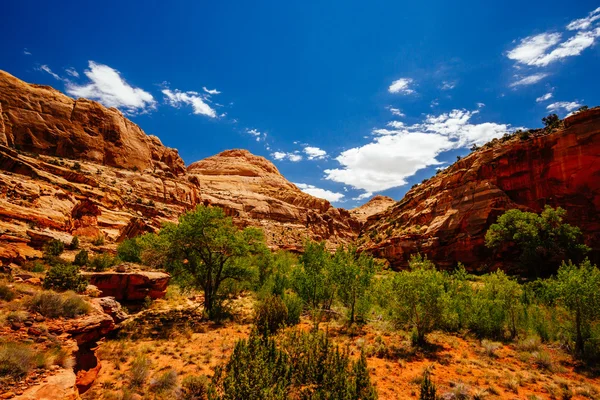 The Hickman Bridge Trail, Capital Reef National Park, Utah, EE.UU. — Foto de Stock