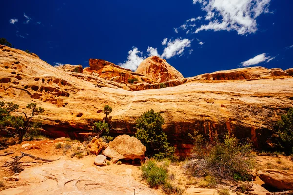 The Hickman Bridge Trail, Capital Reef National Park, Utah, EE.UU. — Foto de Stock