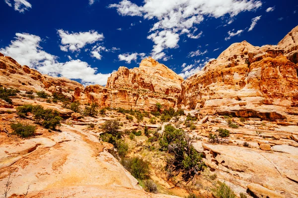 Hickman Bridge Trail, kapitál Reef národní Park, Utah, Usa — Stock fotografie