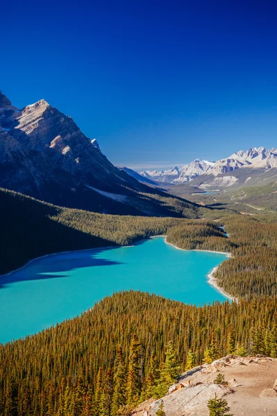 Peyto Lake, Banff nemzeti parkban, Sziklás-hegység, Alberta, Canad — Stock Fotó